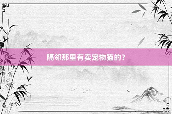 隔邻那里有卖宠物猫的？