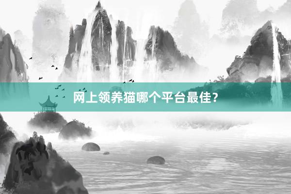 网上领养猫哪个平台最佳？