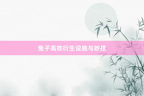 兔子高效衍生设施与妙技