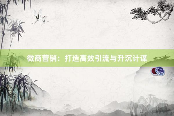 微商营销：打造高效引流与升沉计谋